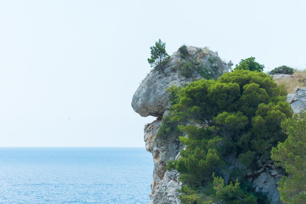 Luxury Old Town With Breathtaking Sea View Appartement *
